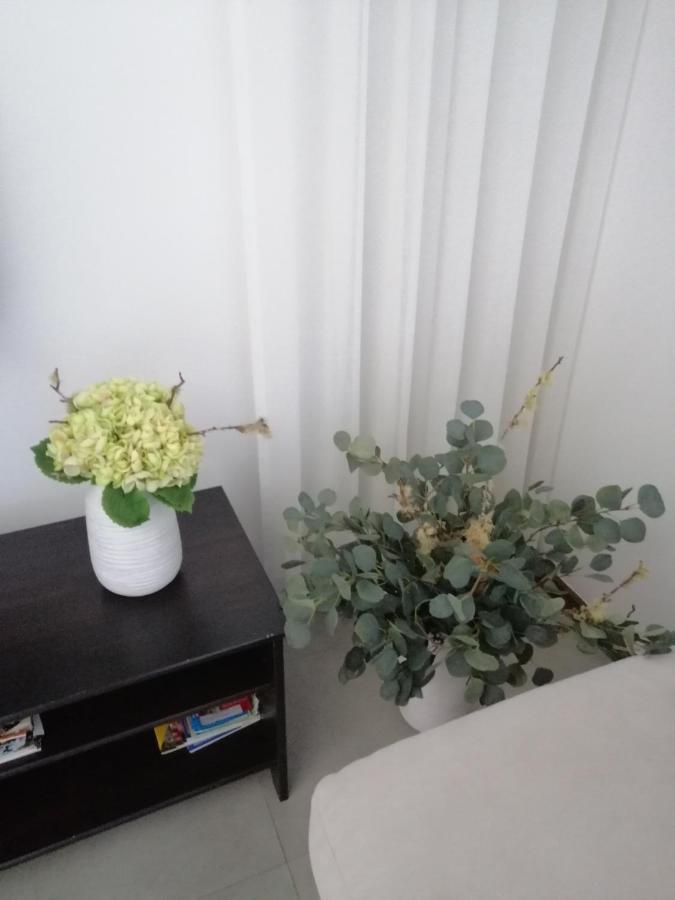 Shearwaters - Sounds Of The Sea Apartment Funchal  Ngoại thất bức ảnh