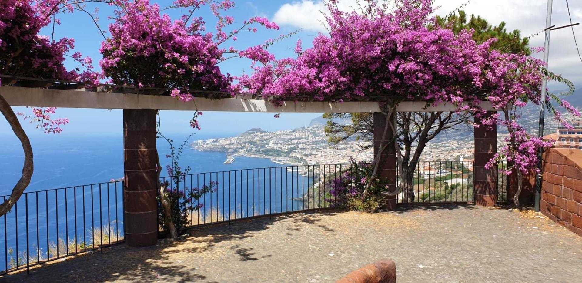Shearwaters - Sounds Of The Sea Apartment Funchal  Phòng bức ảnh